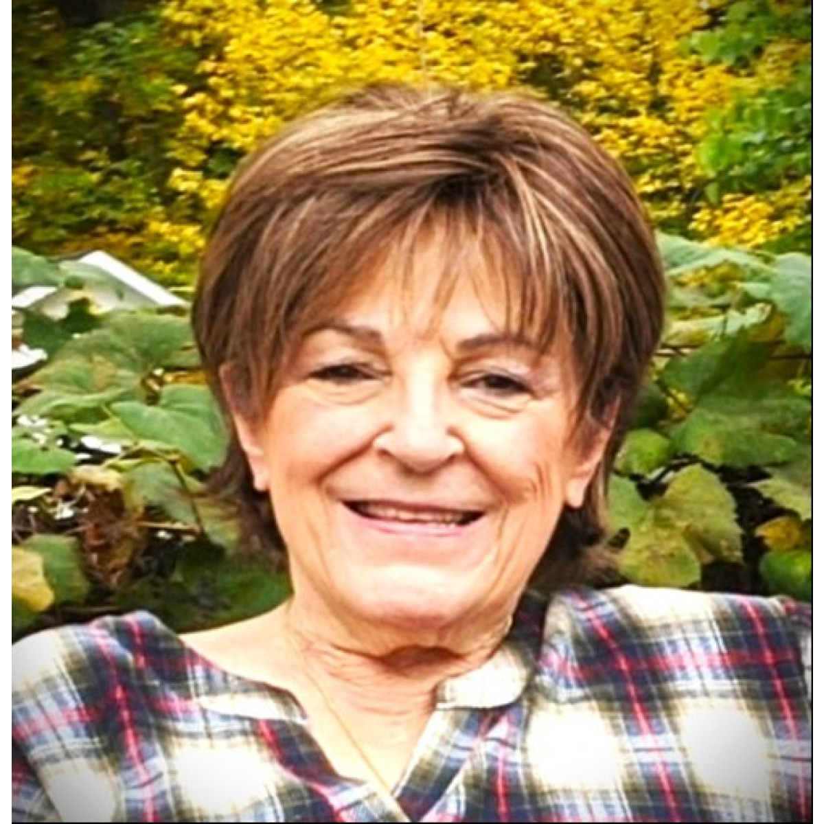 Service Information for Carole Cordi at John Quint Treboni Funeral Home